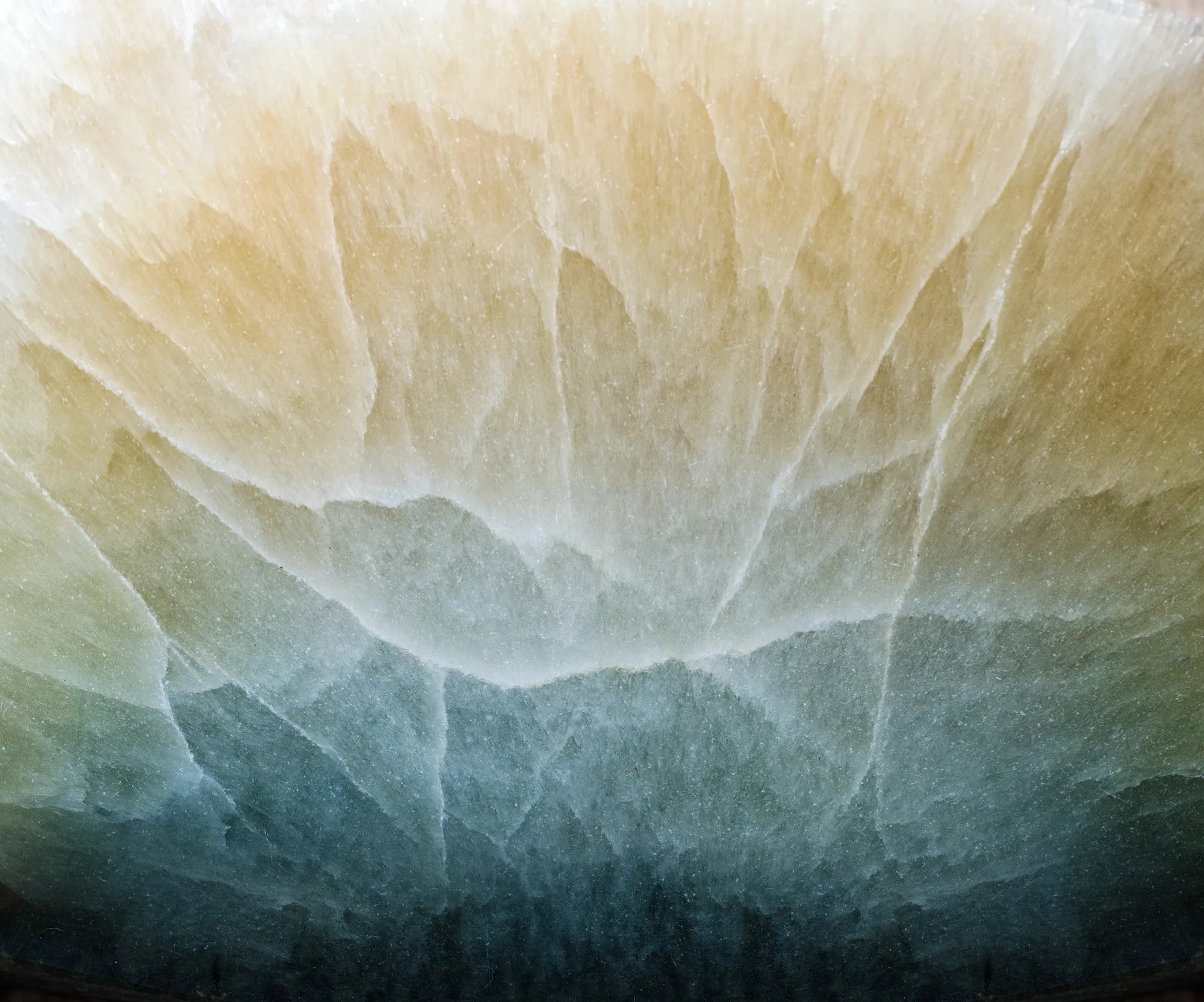 Magnesium: The Powerhouse Mineral for the Modern Go-Getter