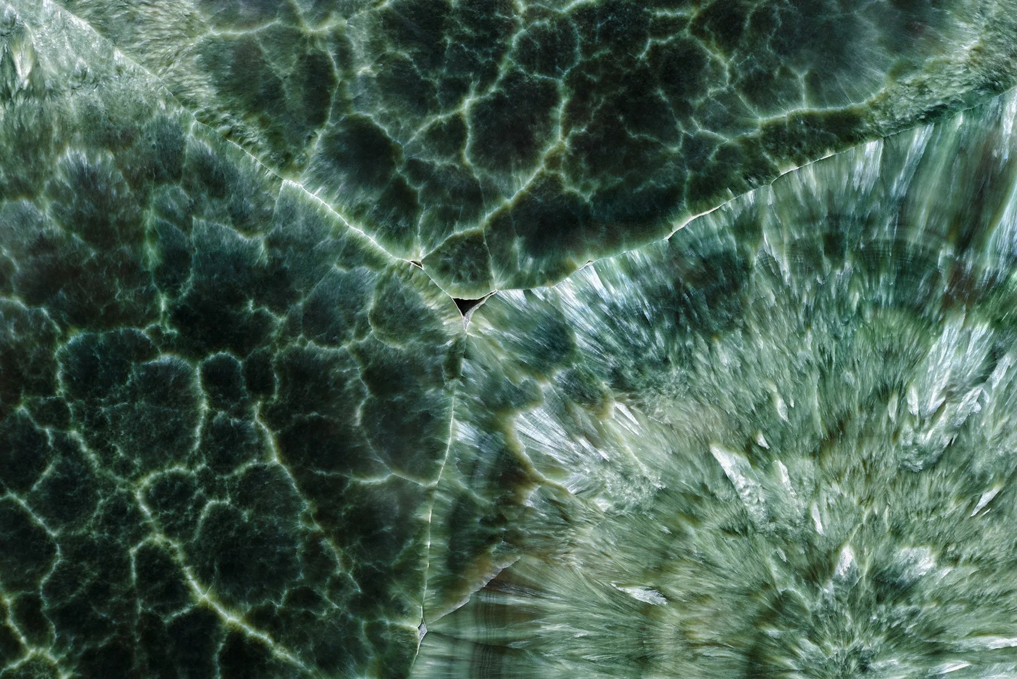 Close-up of a dark green and light green patterned surface, featuring a section with a network of light veins resembling cracks, and another section with a fibrous, crystalline texture.