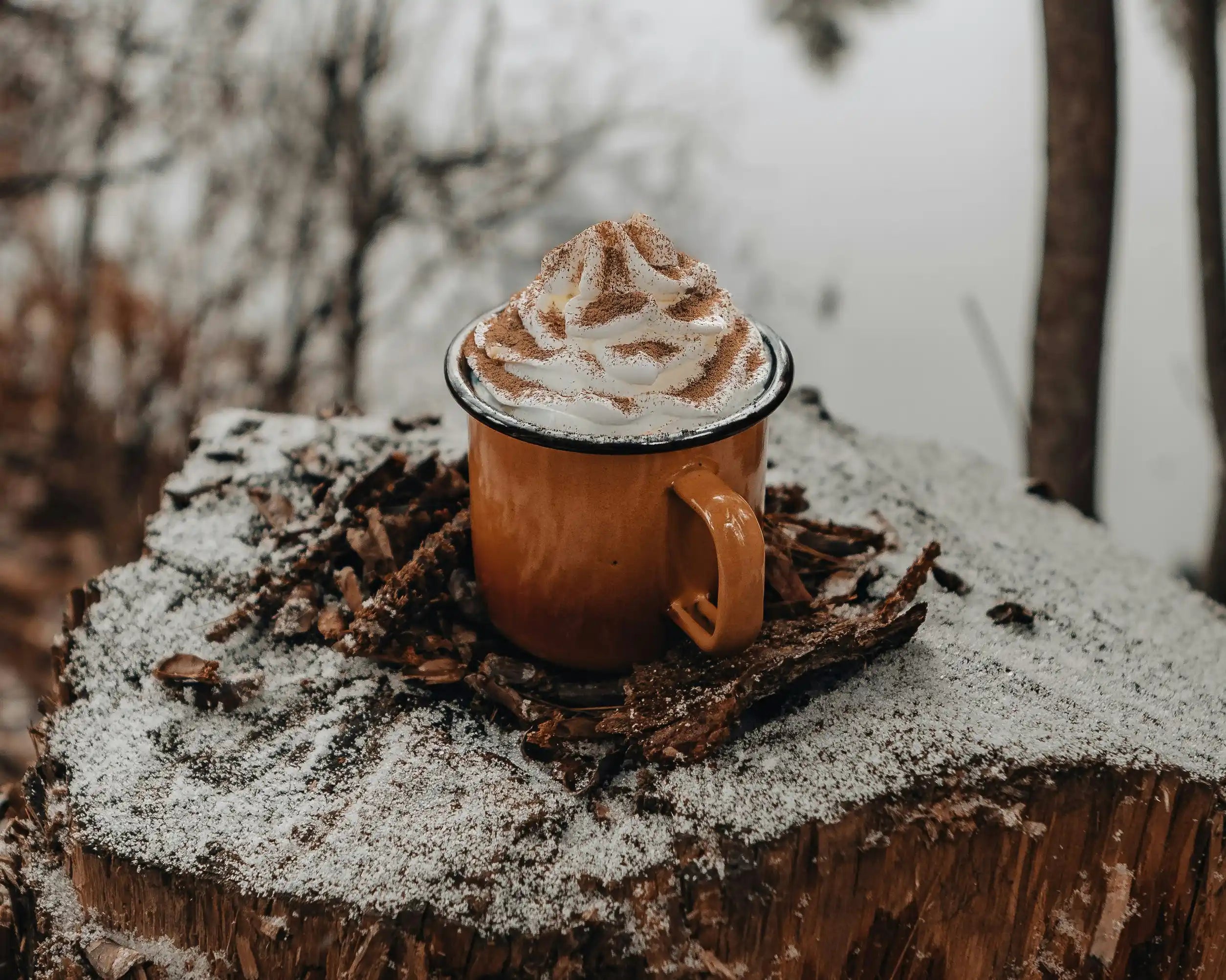 Brown enamel mug filled with whipped cream and cocoa powder, sitting on a snow-dusted tree stump in a blurred winter forest.